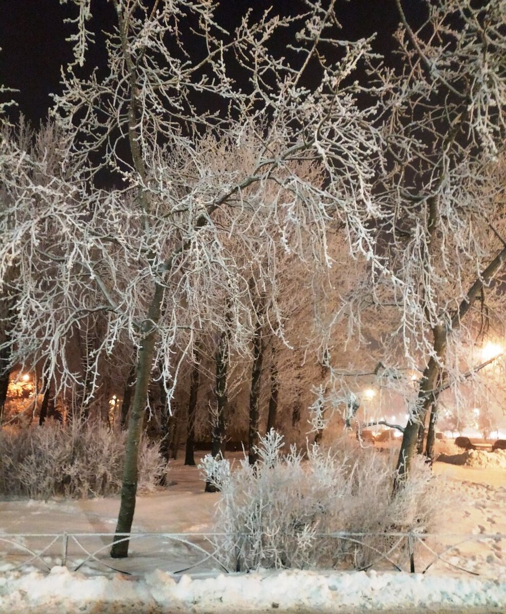 Вечерний Питер 6 декабря. Фото автора