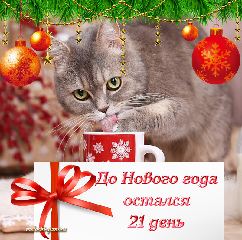 До нового года 21 день .