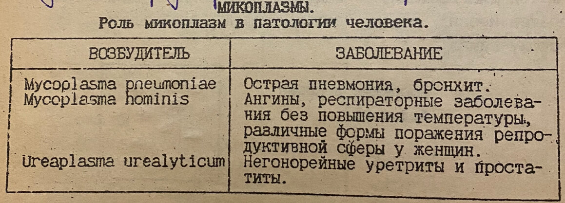 Фото из моей тетради по микробиологии. Храню свои старые институтские тетради.