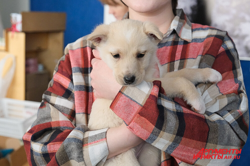    Фото:  АиФ/ Виктор Михалёв