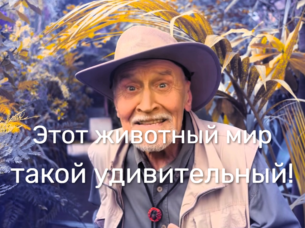 Коллаж автора.