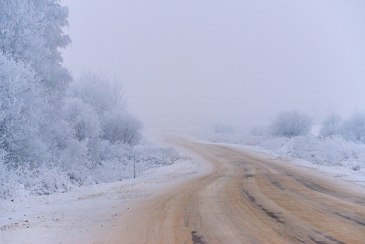 Туман. Дорога в никуда. Фото Елены БЕЛОЗОРОВОЙ.