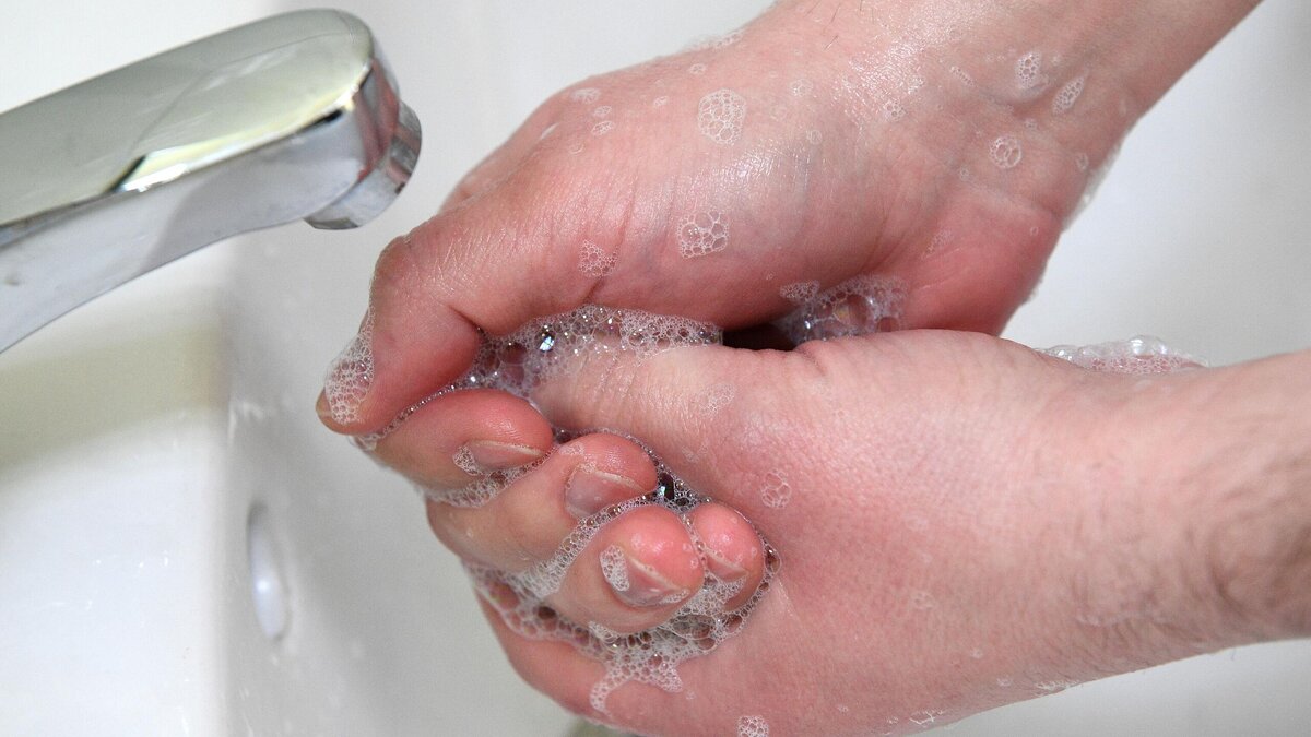    Почему нельзя часто мыть руки? Врач объяснил о последствиях© РИА Новости | Нина Зотина