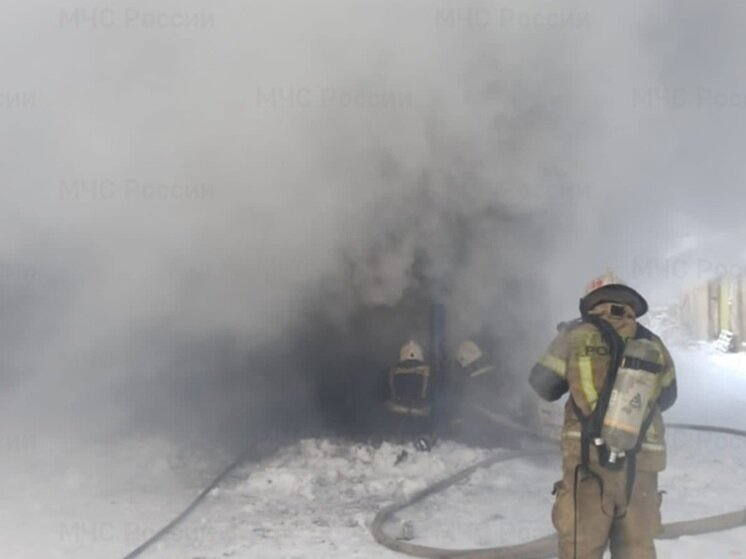     Фото: ГУ МЧС России по Свердловской области