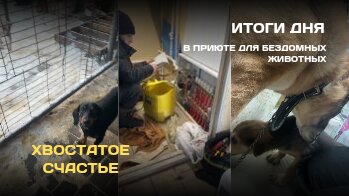 В ЭТОМ ВИДЕО: Холодно но гуляем // Включаем тёплый пол //Зав.Складом Бонечка