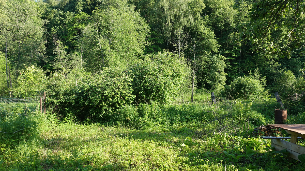 Фотография 2019 года