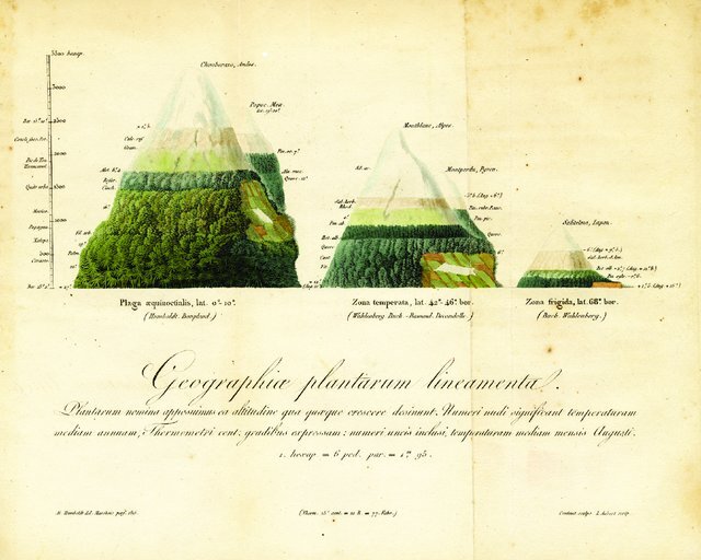 рисунок автора источник: Humboldt A. von. Die lignes isothermes et de la distribution de la chaleur sur le globe // Mém. Physique et de Chimie de la Soc. d’Arcueil. 1817. T. 3. 