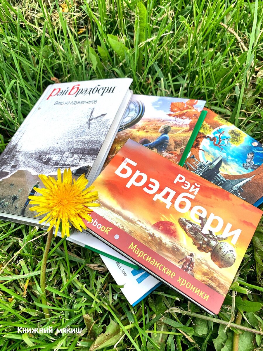 Мария мякиш. Книжный мякиш. Дом книги. Маша книжный мякиш. Книжный мякиш.