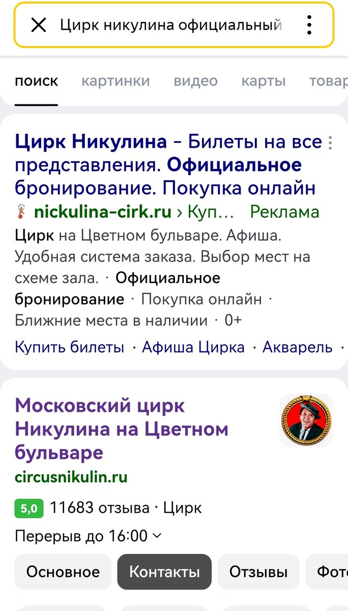 Как я купила билеты на сайте-двойнике Московского цирка Никулина на Цветном  бульваре | Люди мои ? Тёплая журналистика | Дзен
