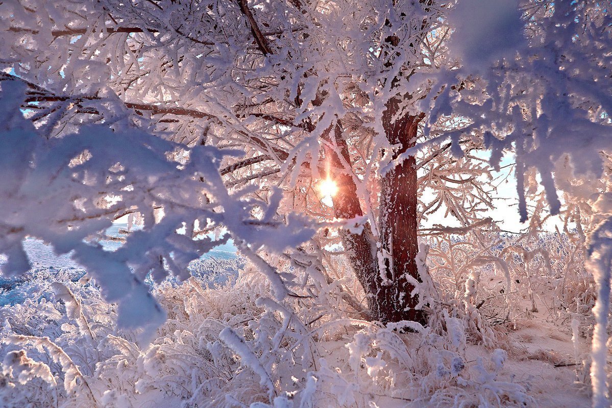зима снегопад. включи снег летит. снег летит кевин. включи снег летит. надежда кадышева снег летит.