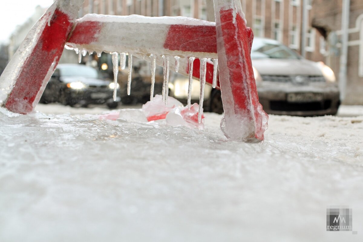    Дарья Драй © ИА Регнум