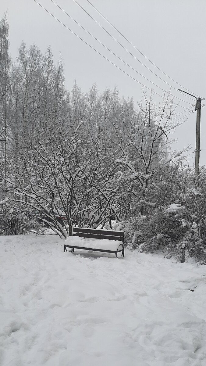 У нас морозно и снежно❄️