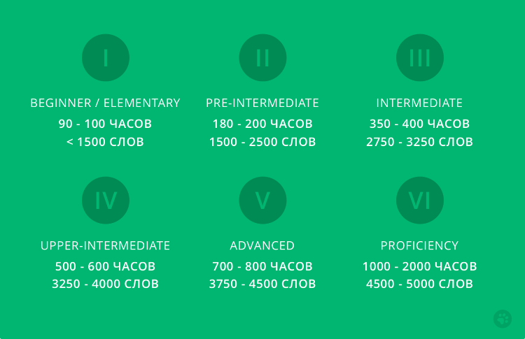 Сколько часов нужно для изучения английского. Сколько времени надо на изучение английского языка. За скольуо часов можно выусть пнгл. Сколько часов нужно чтобы выучить английский.