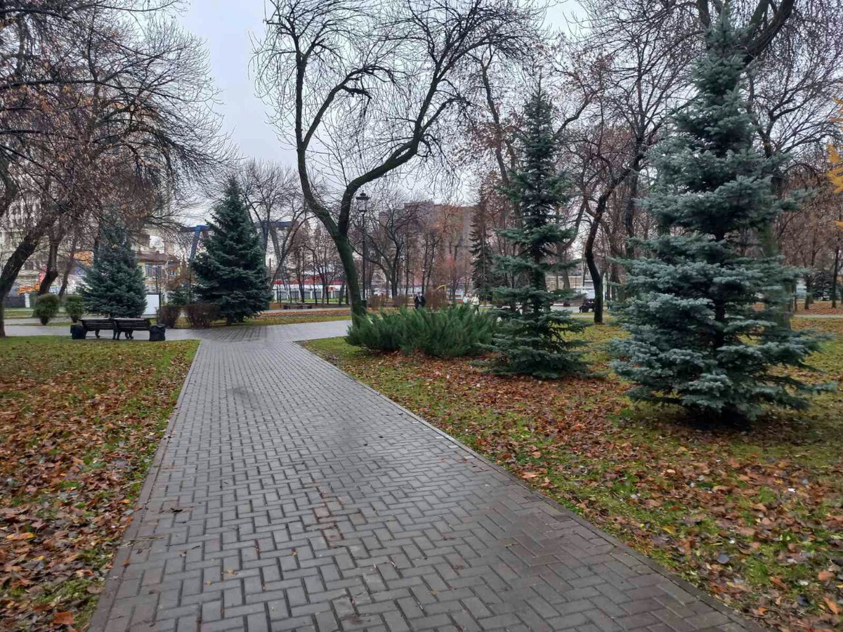 Фото автора.