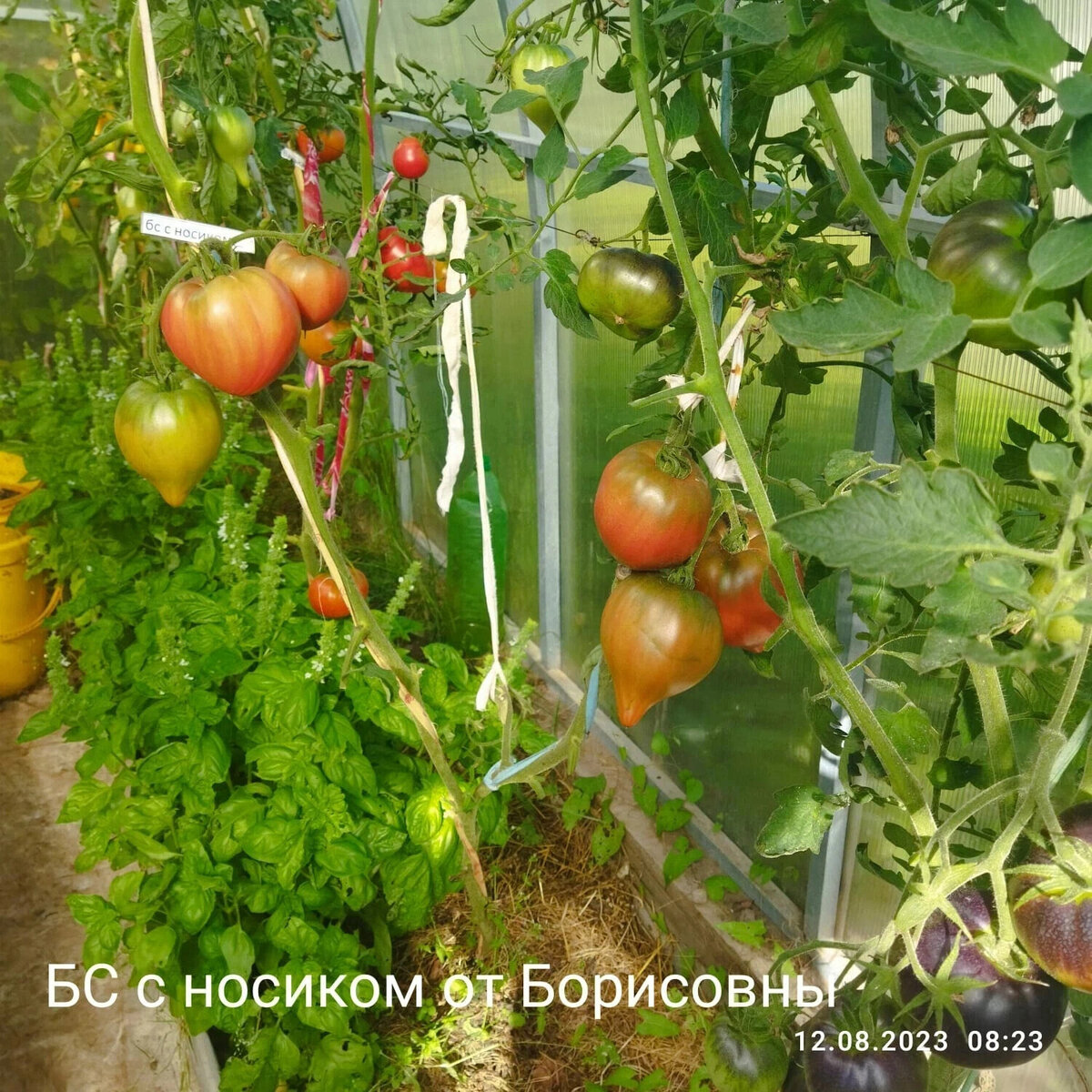 Листайте