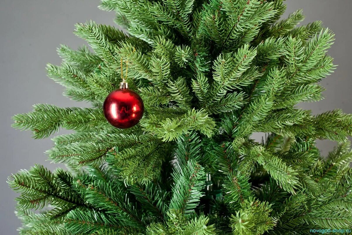 Triumph tree кедр аляска 2. живая или искусственная елка. елка в горшке на новый год. живая или искусственная елка. самшит искусственный изгороди.