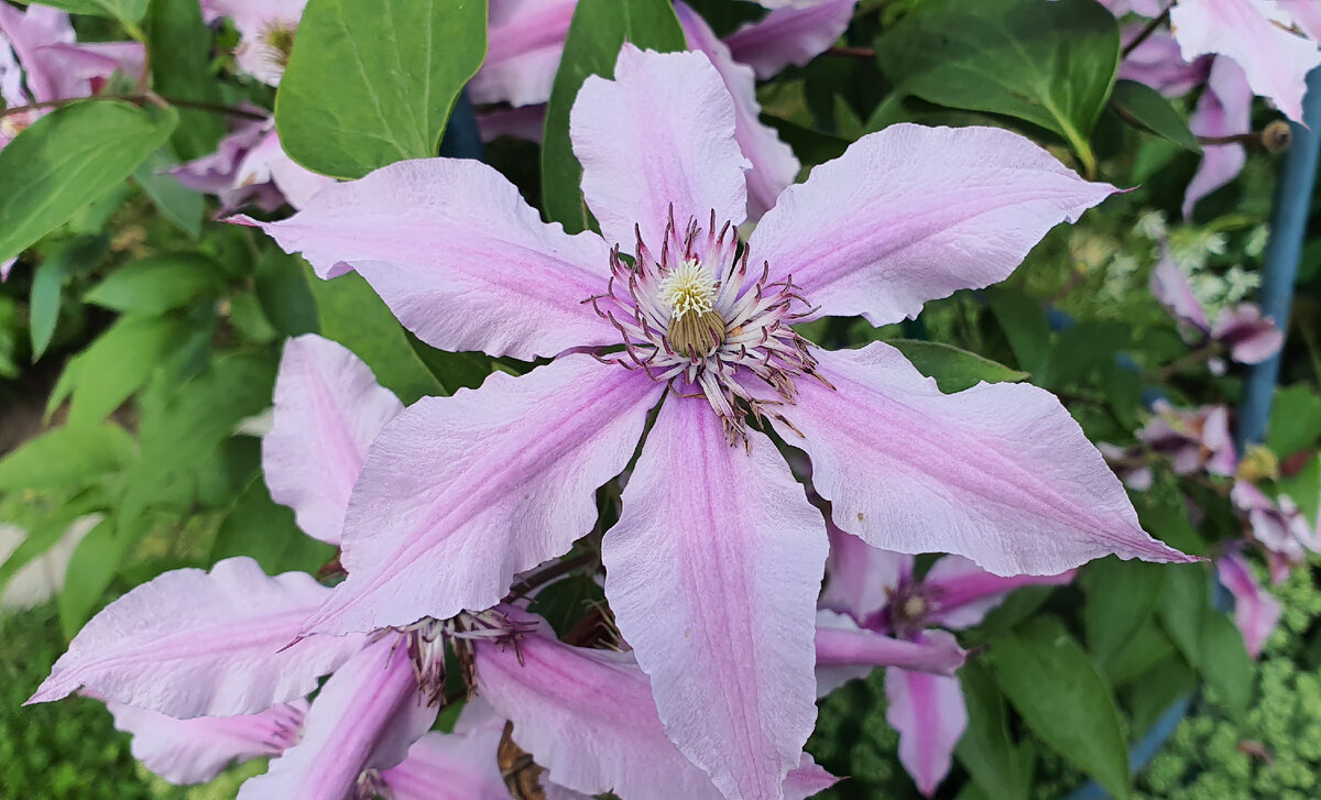 Он же, немного в другом освещении