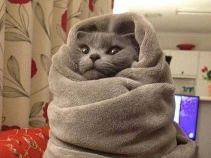 С просторов интернет.