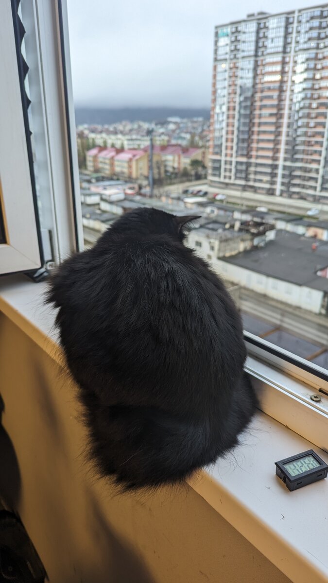 Моя помощница