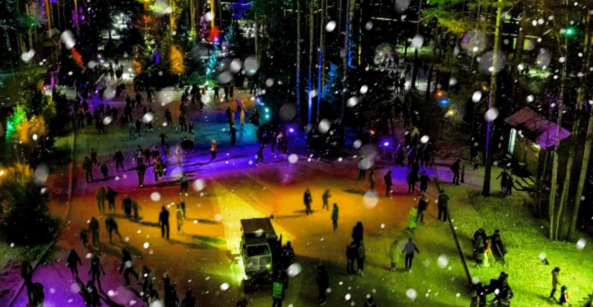 Каток в лесу