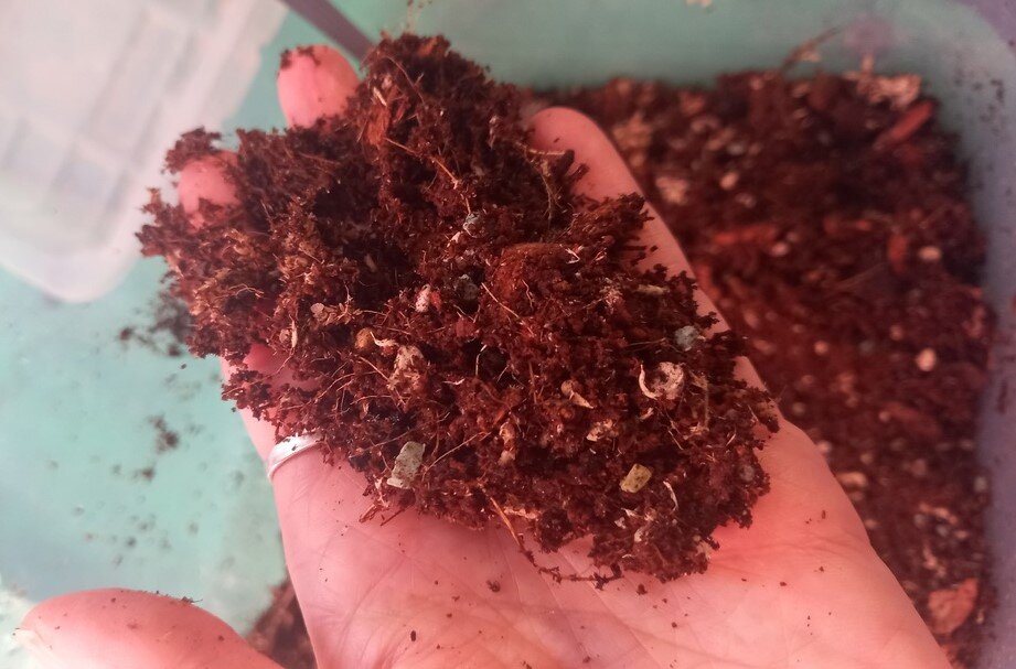 Правильный грунт-залог успеха хорошей корневой системы.