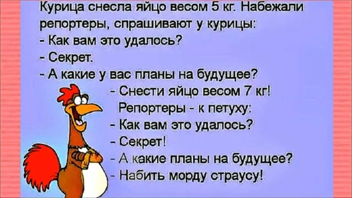 Пять минут хорошего настроения. Страус. | Felix Shamirov | Дзен