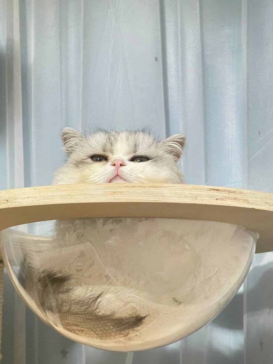 Моя путешественница