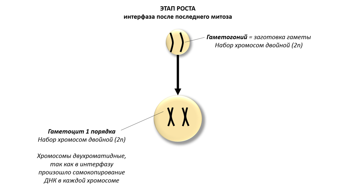 Порядок понятно