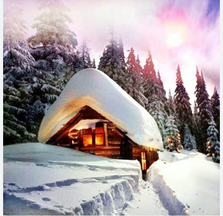 Картинка из ГУГЛ 