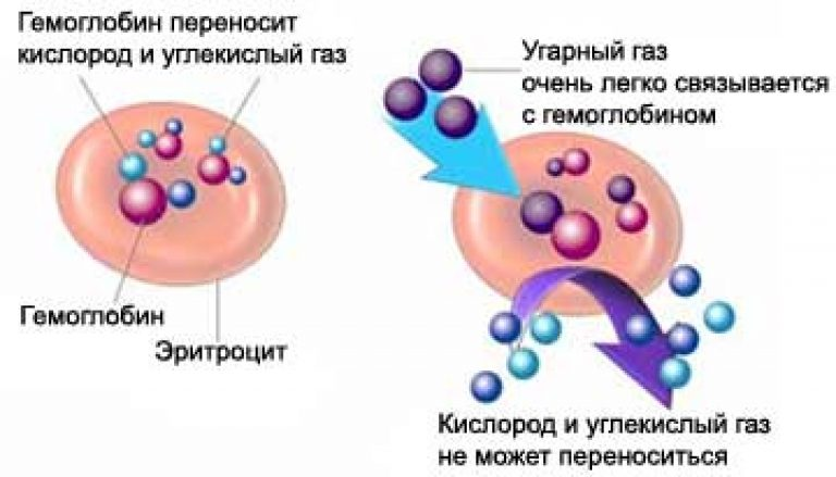 13 объясните физиологическое действие угарного газа на организм человека используя рисунок