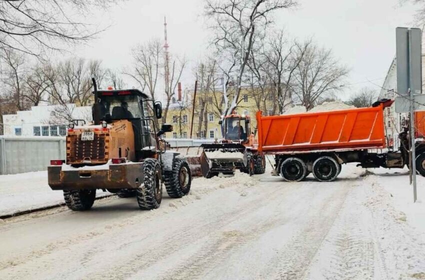    Фото пресс-службы мэрии Воронежа.