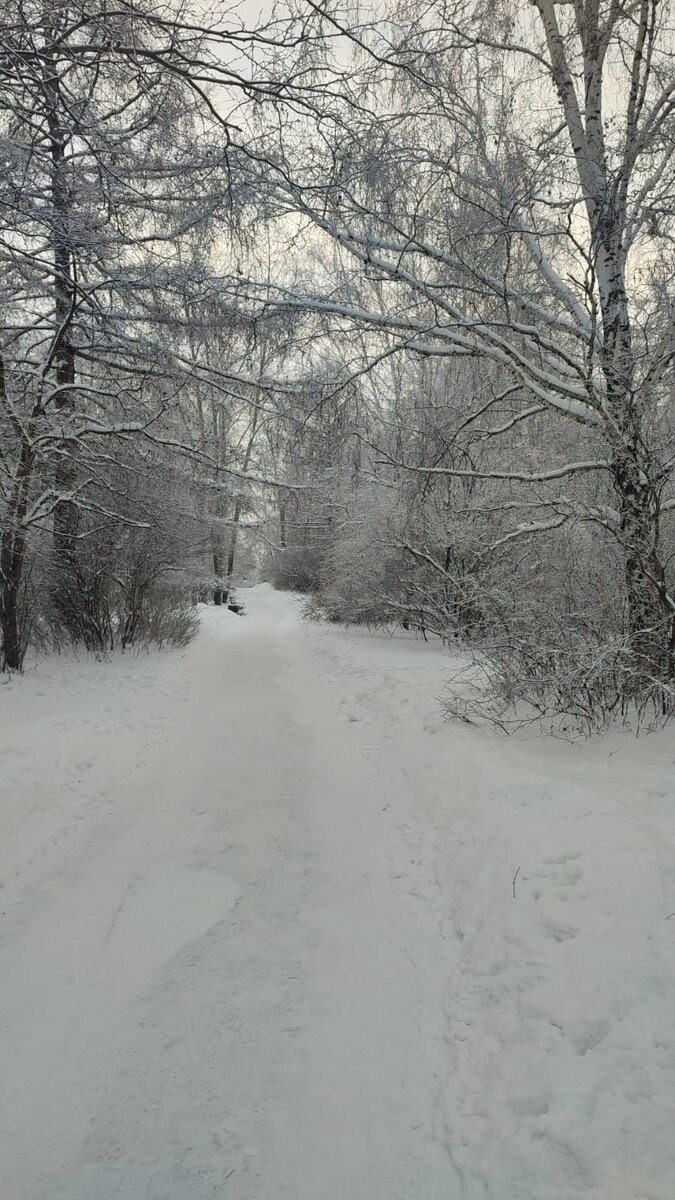 Муж фоткал, когда в магазин ходил 🚶👣👣