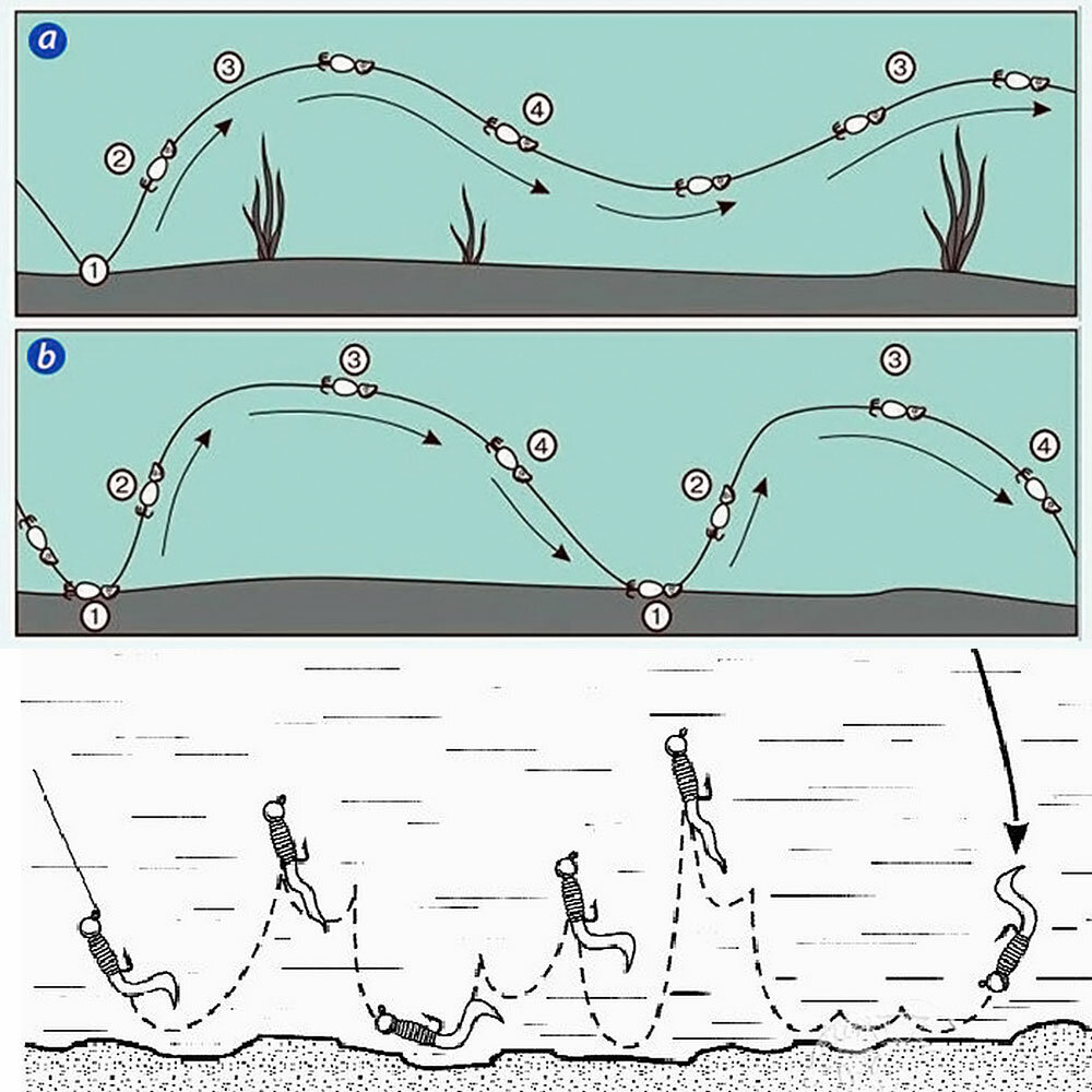 Фото с сайта: https://blogdlarybaka.ru