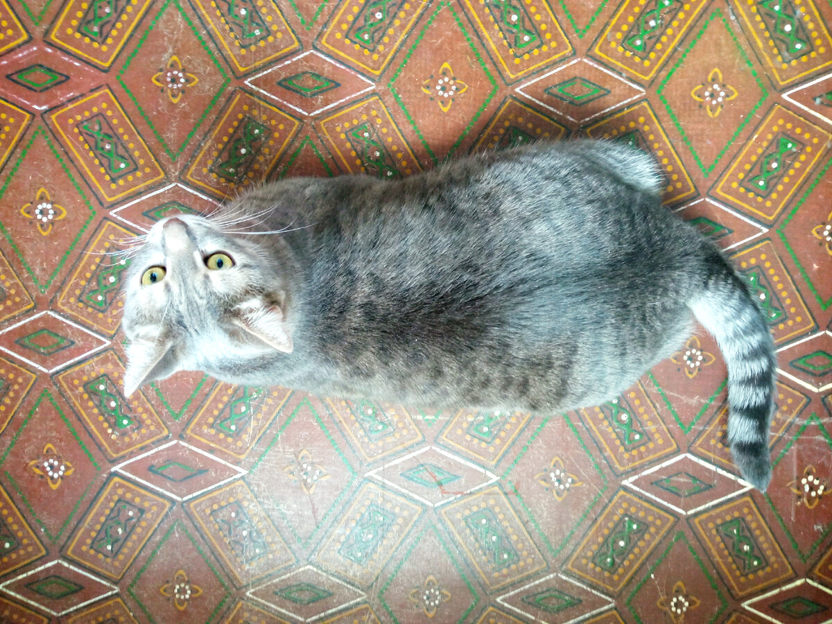 Перевёртыши, так перевёртыши.