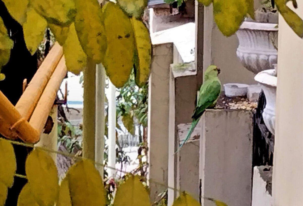 Феодосийский Додоша за трапезой