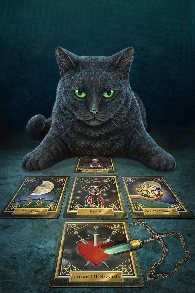 Источник Яндекс картинки