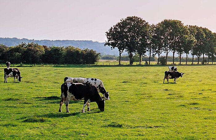    Leon Ephraim/Unsplash