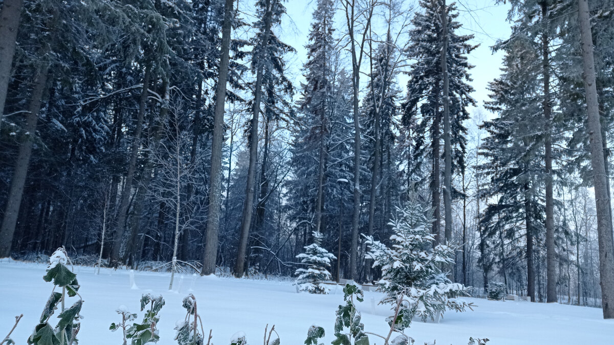 Муж сегодня отпустил погулять на 30 минут