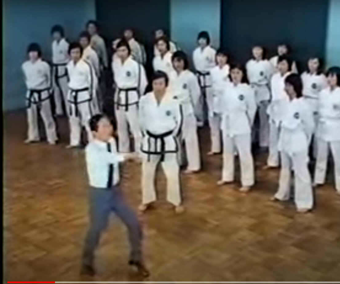 Чой Хон Хи и Пак Дзюн Тэ проводят семинар в КНДР