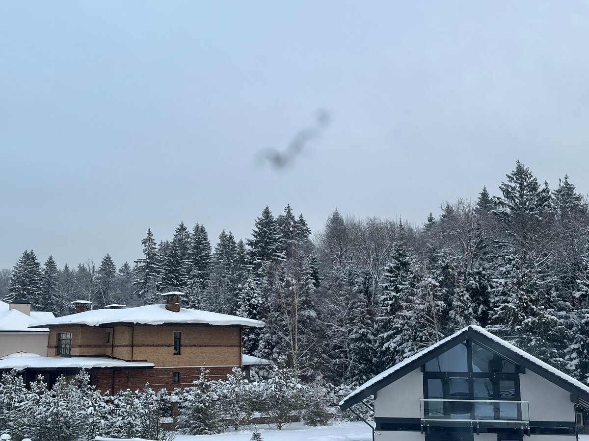 Шале и фахверк в лесу!