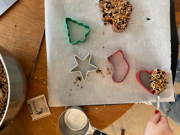 Разложить корм по формочкам. Фото с https://artfulparent.com/