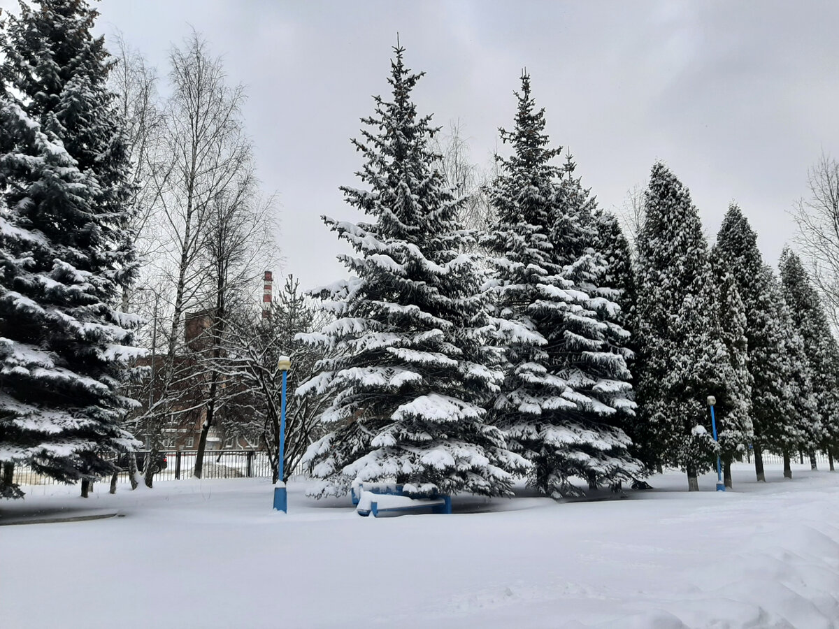 По прогнозам у нас -7°С, но по ощущениям гораздо холоднее