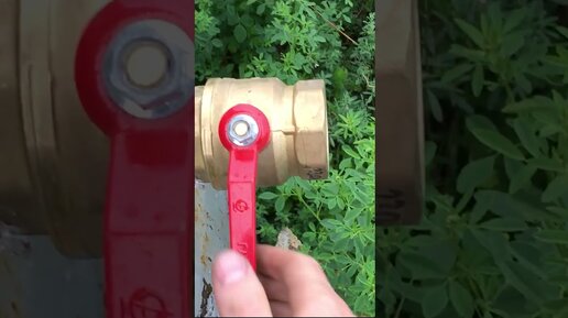 ТЕАТР АБСУРДА | МУЛЯЖИ КРАНОВ НА ТАМБОВЩИНЕ @teatr_abcyrda #тамбов | Дзен