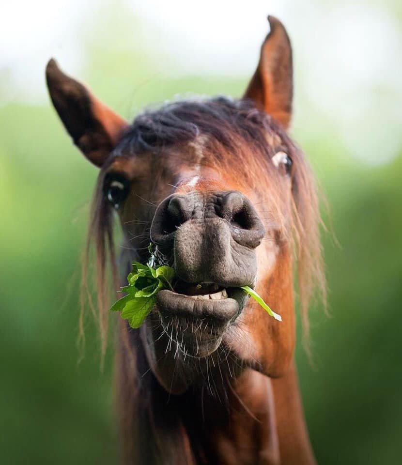 Фото взято из яндекс картинки