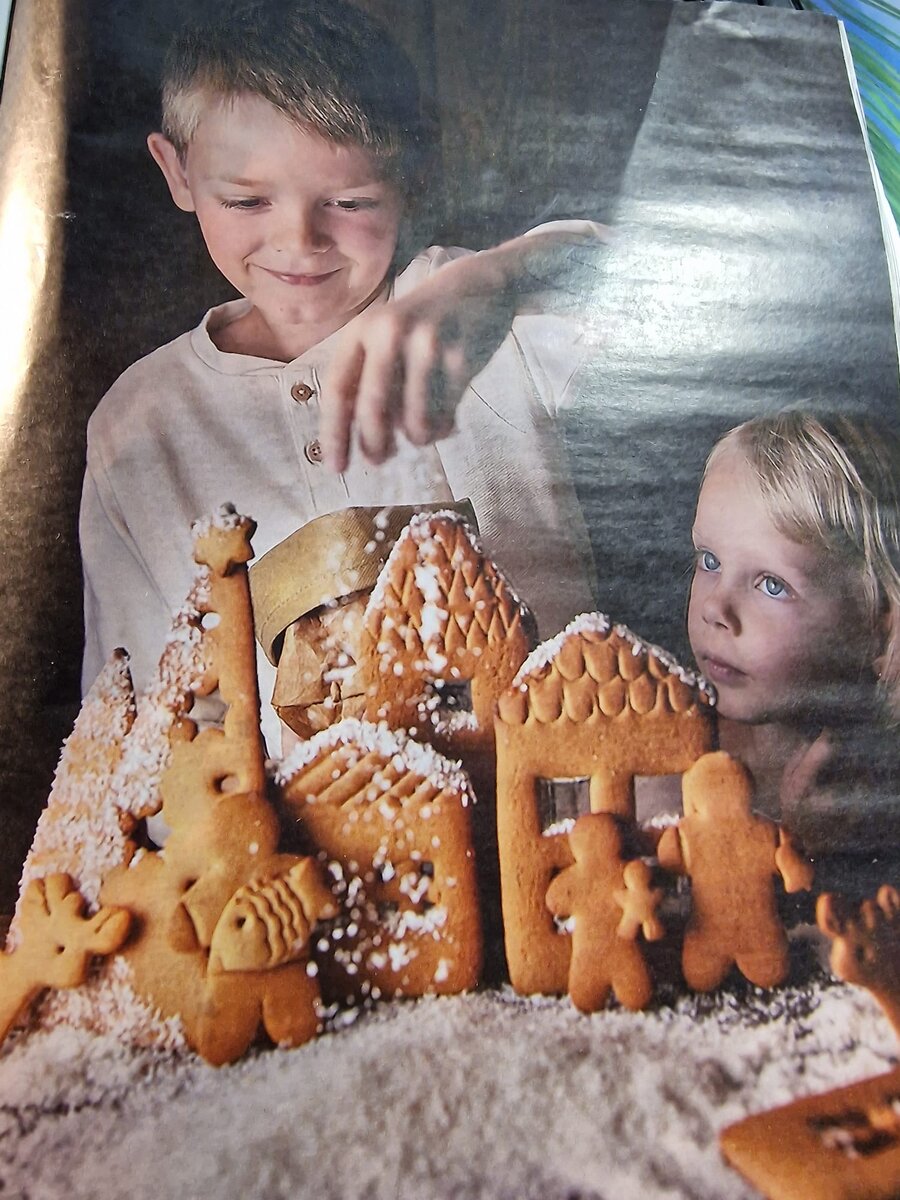 фото автора: вот эту фотографию сынуля увидел в журнале. Тут, правда, домики необъемные