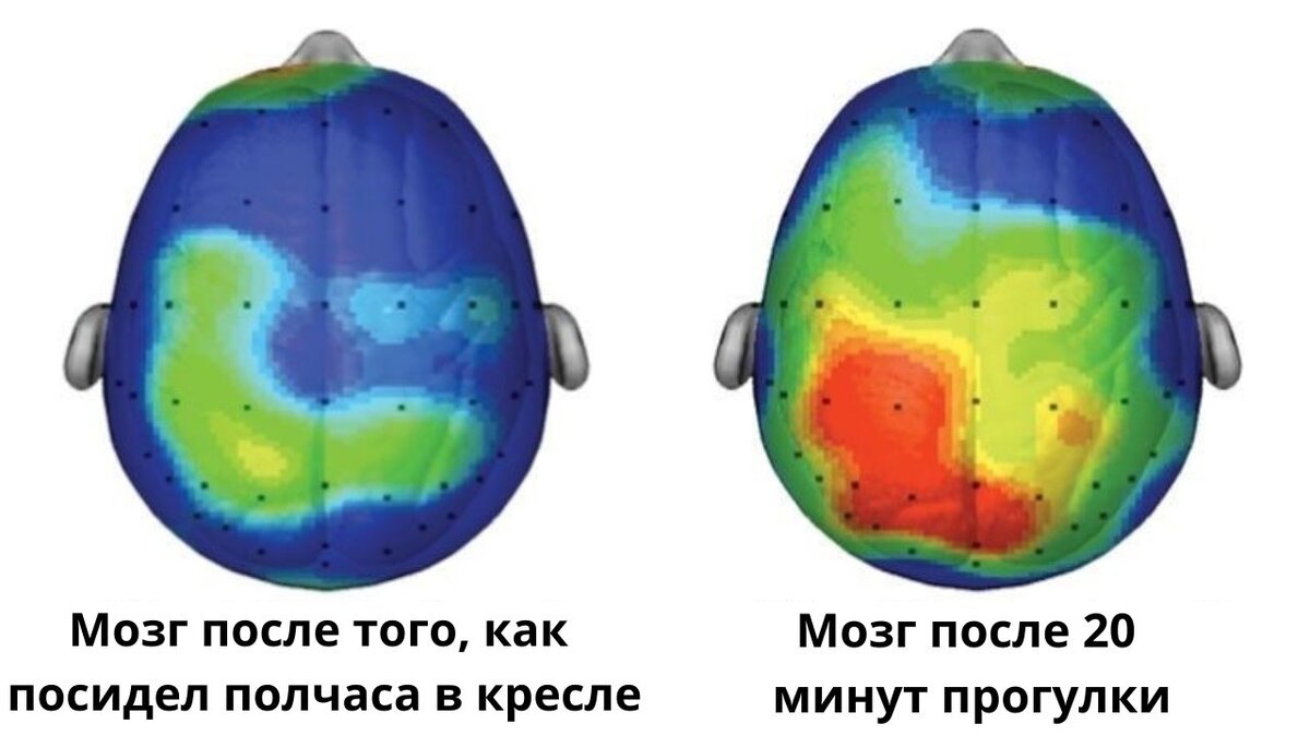 After brain. Brain after Walking.