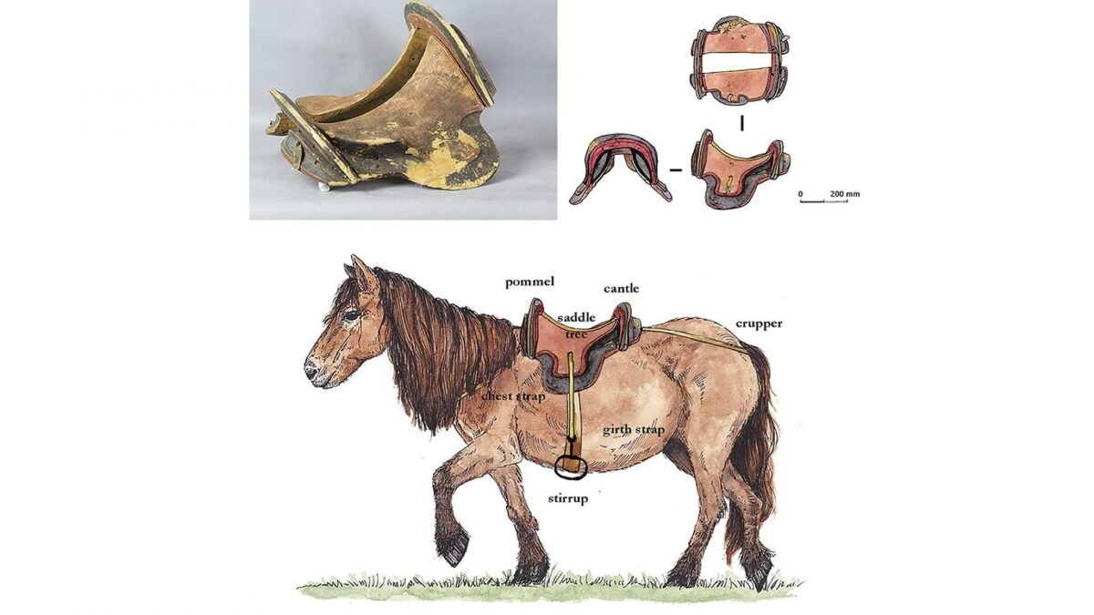 Археологи обнаружили уникальное и инновационное седло, принадлежавшее  древним монголам | Bizmedia.kz | Дзен
