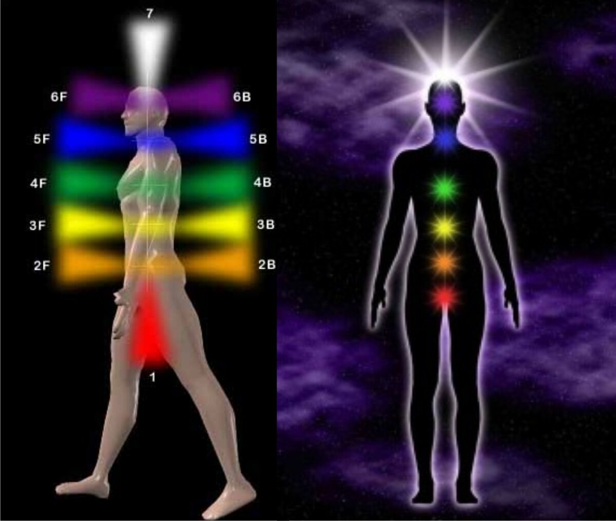 Система физического тела. Чакры человека энергоинформационная система. Расположение энергетических чакр. Чакральная система человека. Энергетическое поле человека чакры.