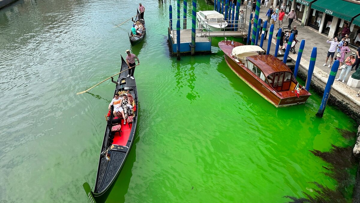 Экоактивисты окрасили воду Гранд-канала в Венеции в зеленый цвет в качестве  протеста | OVERCLOCKERS.RU | Дзен