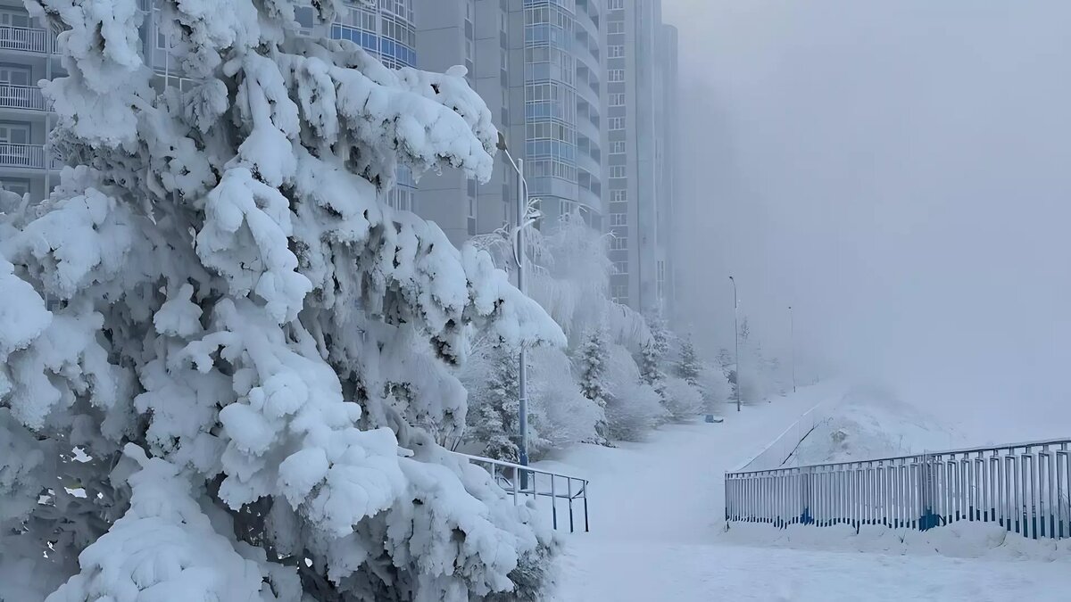 В Красноярск пришел 40-градусный мороз. А за городом уже –44 | Проспект  Мира | Дзен